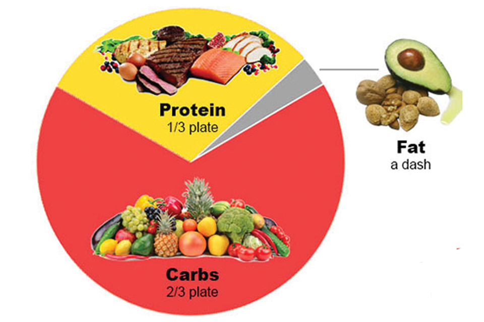 Proteinas grasas carbohidratos