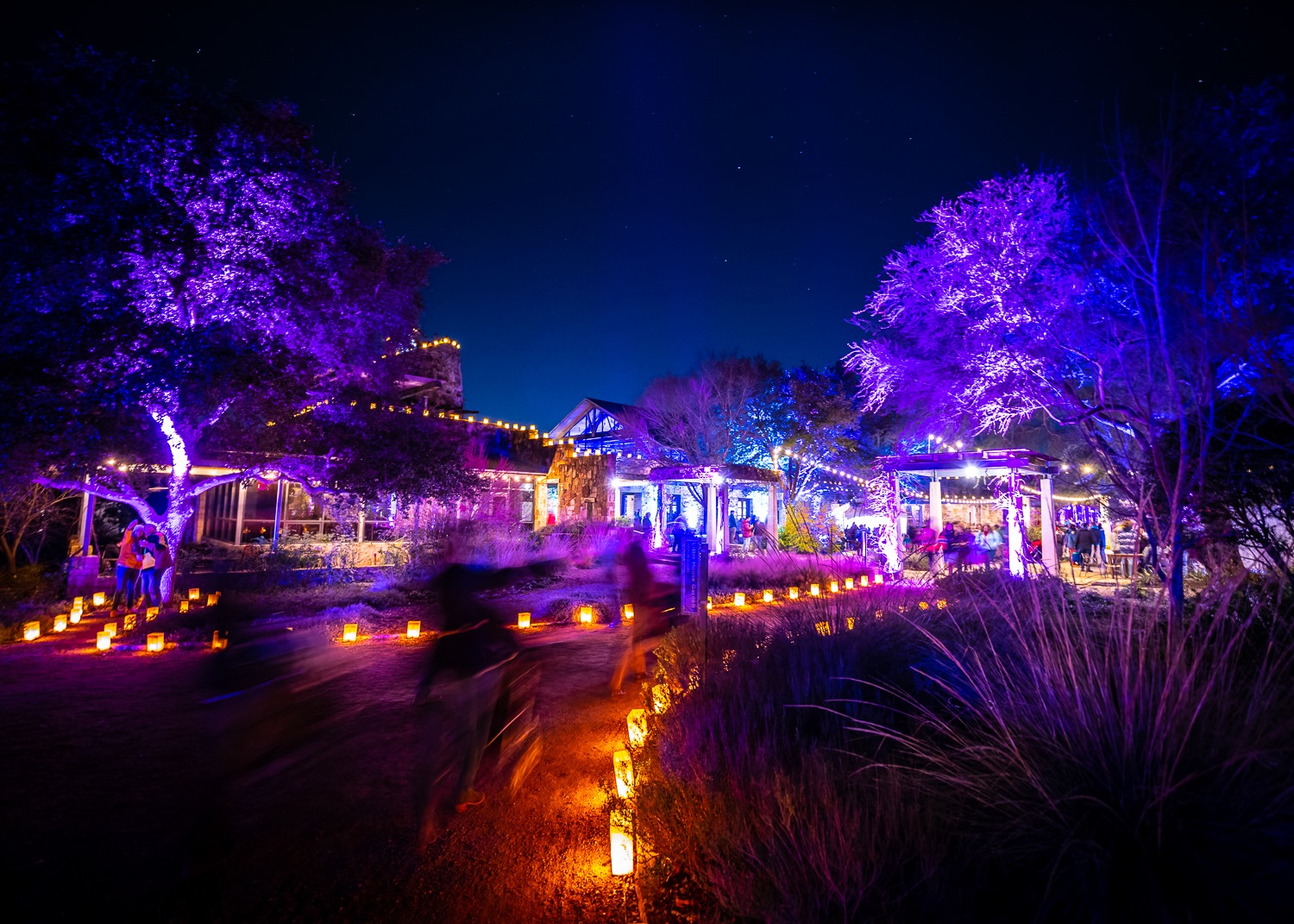 The Lady Bird Johnson Wildflower Center lit up with Christmas lights.