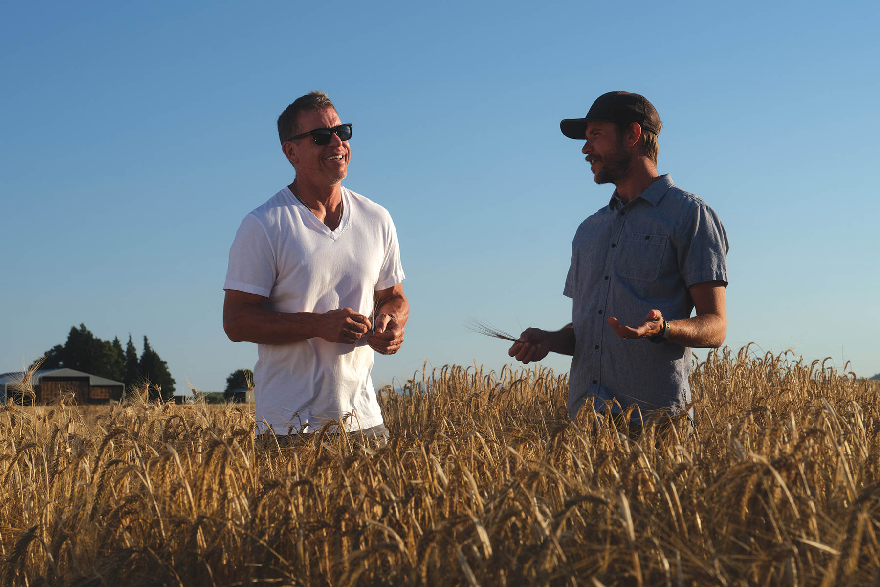 Troy and friend talking in wheat field.