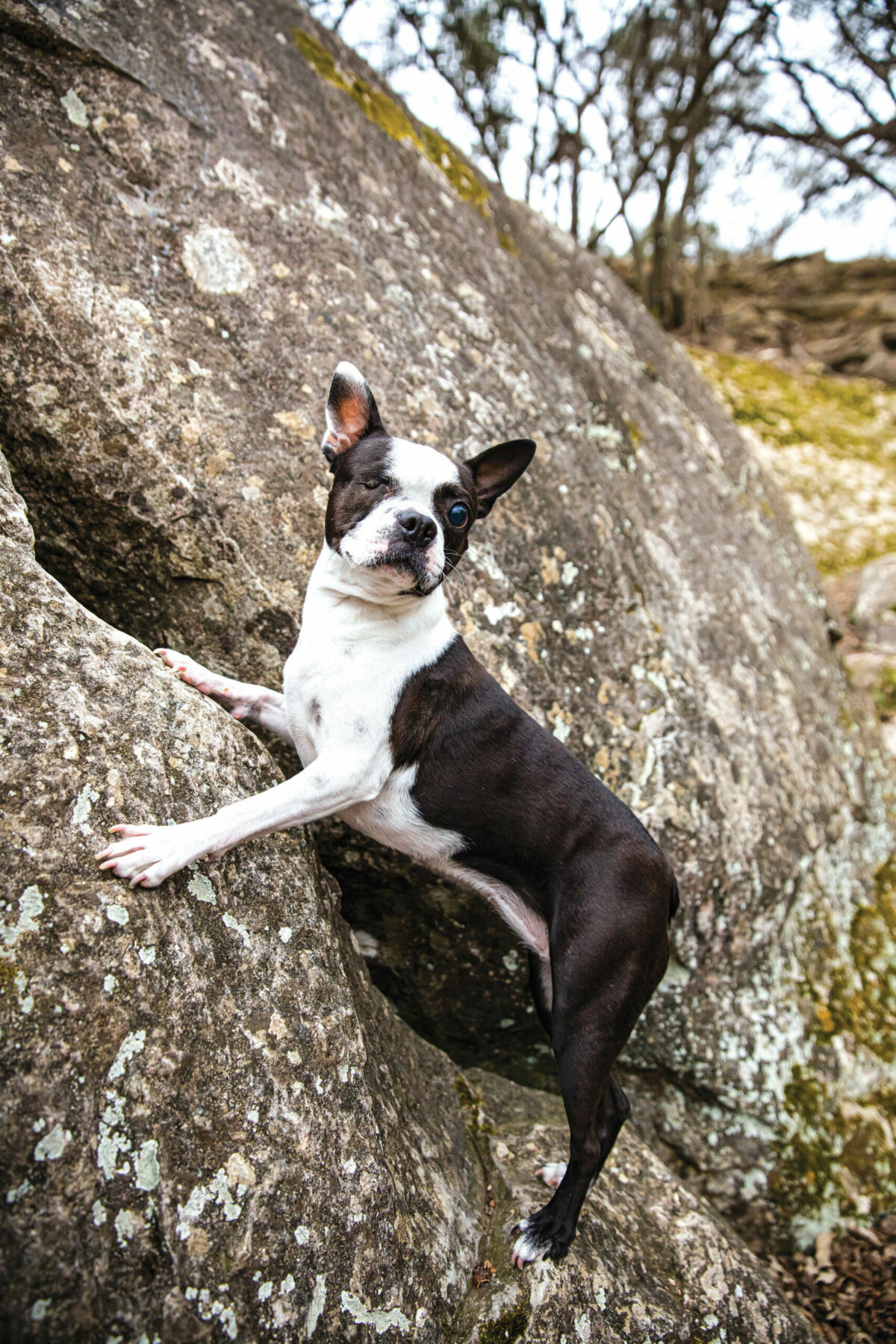 Eloise posing on rocks.