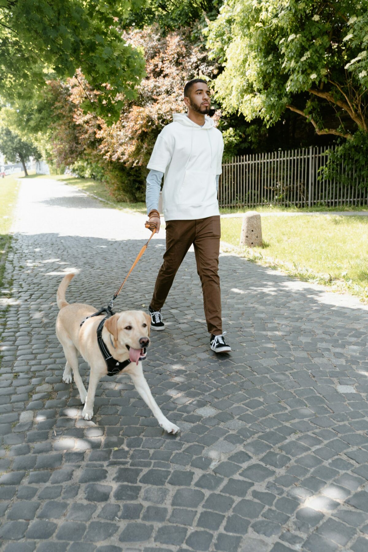 Man walking a dog.