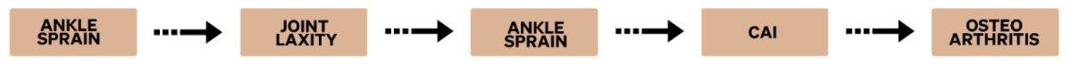 Ankle sprain progression.
