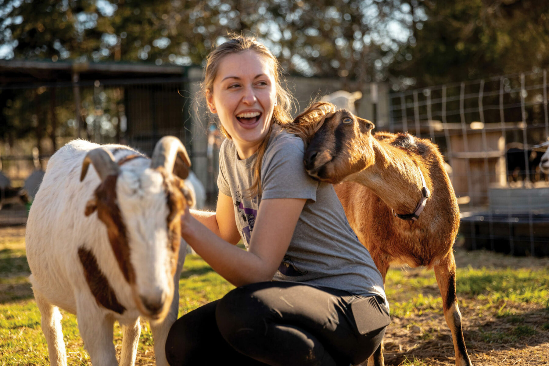 Girl with goats.