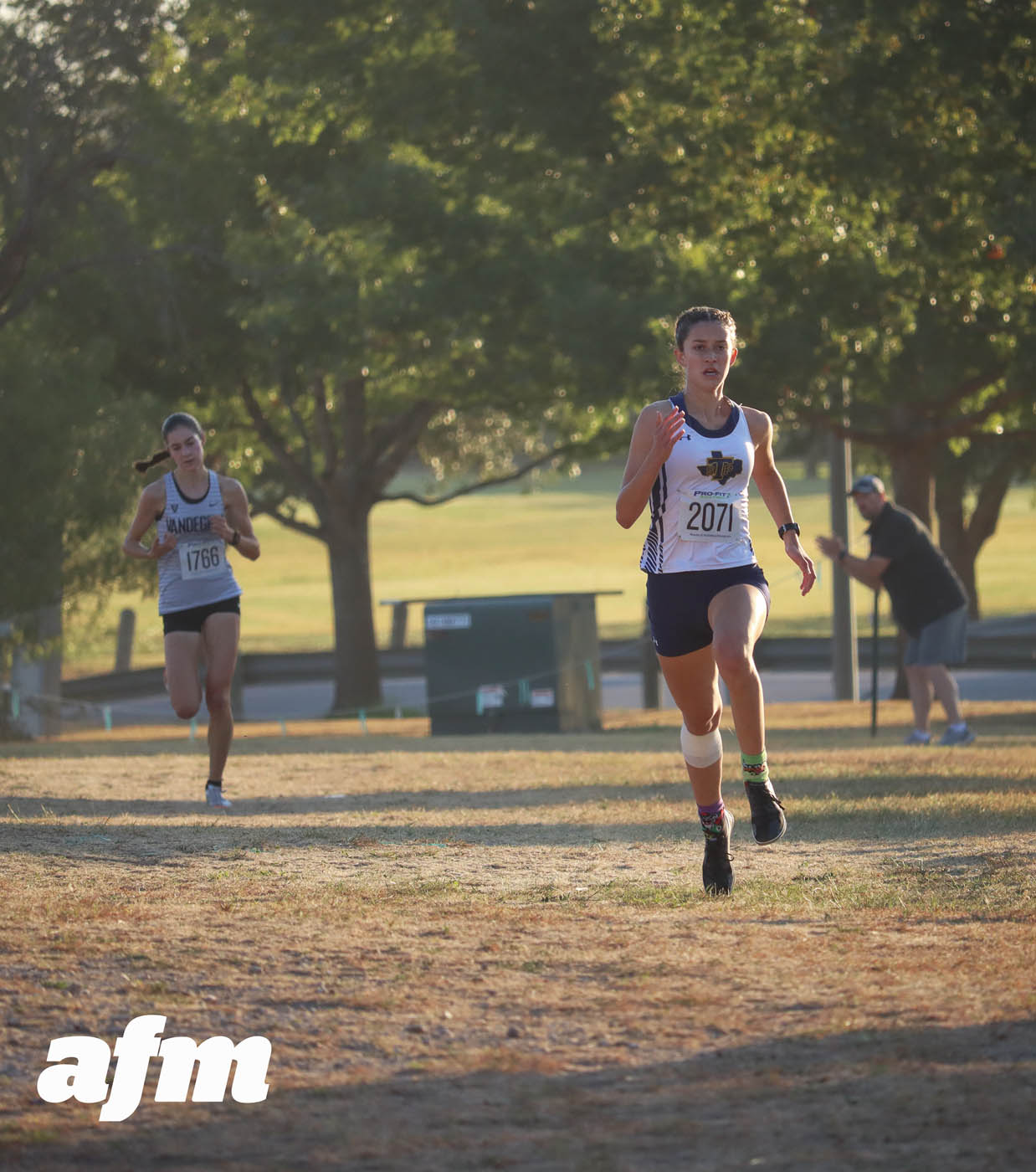 This Austin Area Boys Cross Country Team Was Nearly Perfect At Its ...